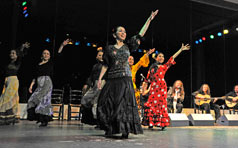 Estudio de Baile La Cachucha